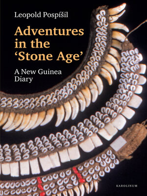 cover image of Adventures in the Stone Age